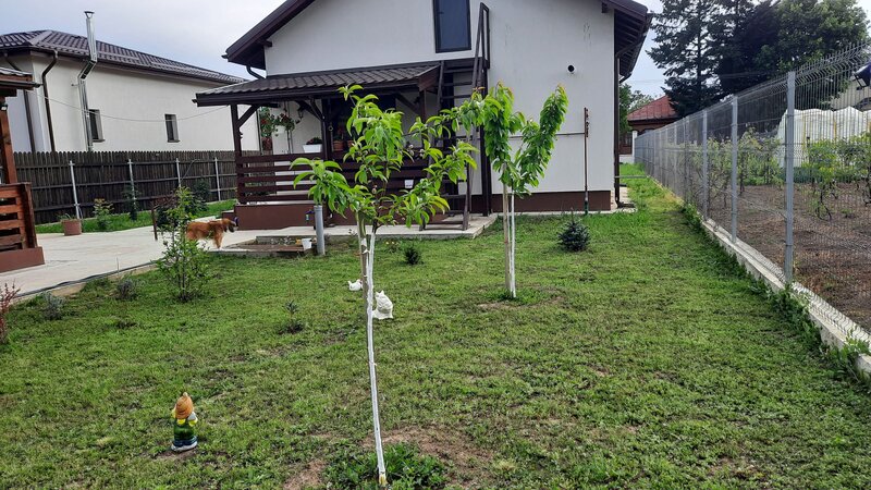 Buturugeni, comision 0, casuta 2023, langa Bucuresti, 23 km, proprietar